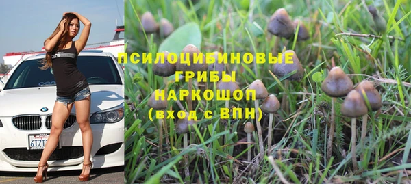 бутират Белокуриха