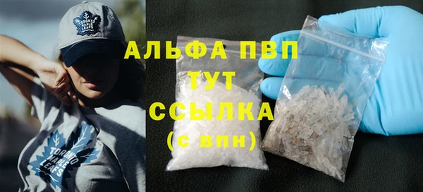 шишки Сясьстрой